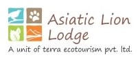 Asiatic Lion Lodge