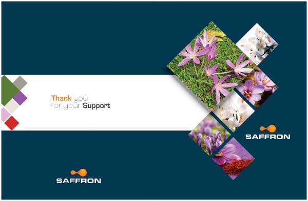 Visual aid, Saffron Therapeutics